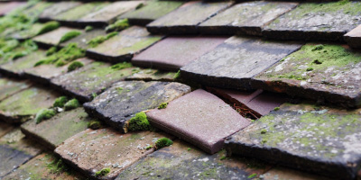 Penryn roof repair costs